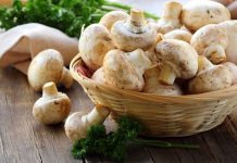 Champignon-Fleckerl