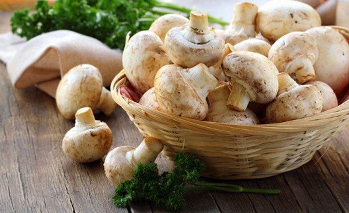 Champignon-Fleckerl Champignon-Fleckerl