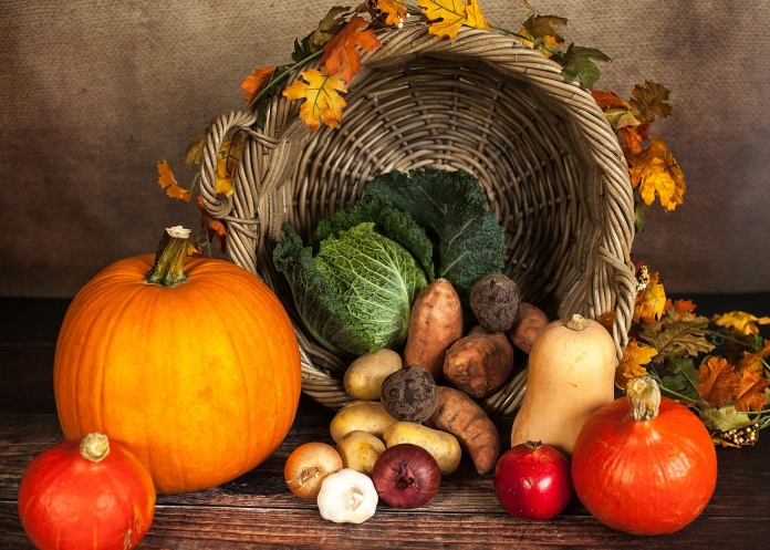 pumpkin-1768857_1920-pixabay