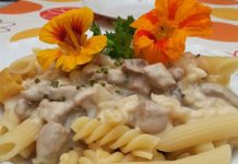 Pute Käsesahne Soße mit Nudeln
