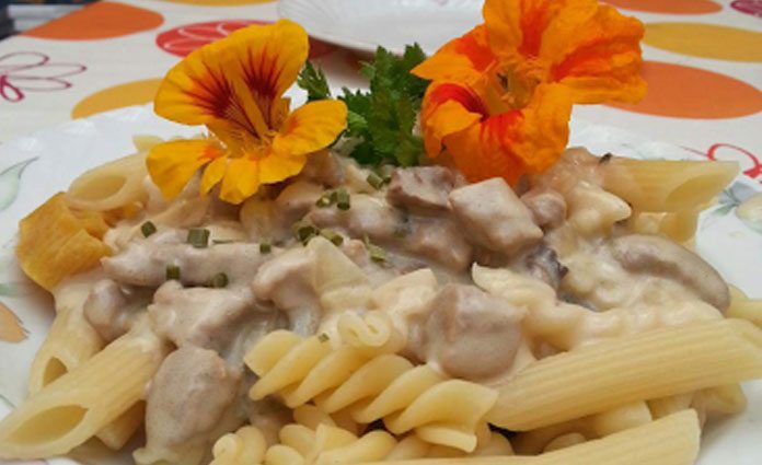 Pute-Käsesahne-Soße-mit-Nud Pute Käsesahne Soße mit Nudeln
