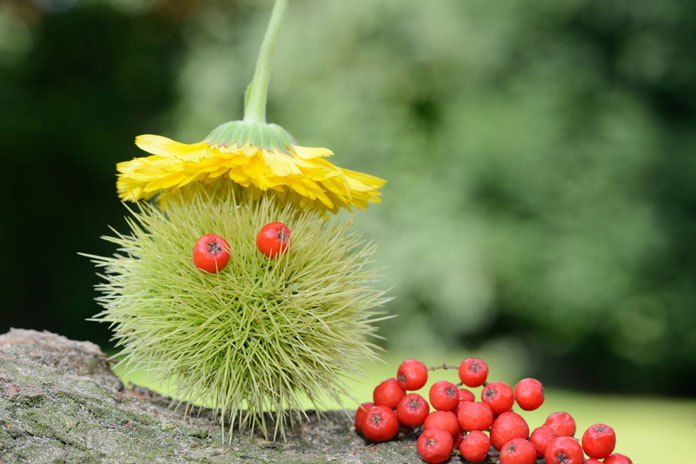 Herbst: Basteln mit Naturmaterialien für Kinder - welovefamily.at