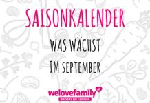saisonkalender-september