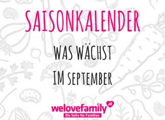 saisonkalender-september