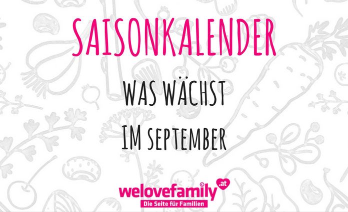 saisonkalender-september