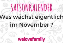 saisonkalender-november