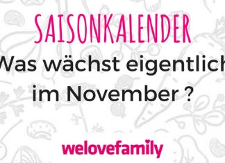 saisonkalender-november