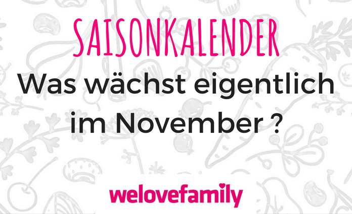saisonkalender-november saisonkalender-november