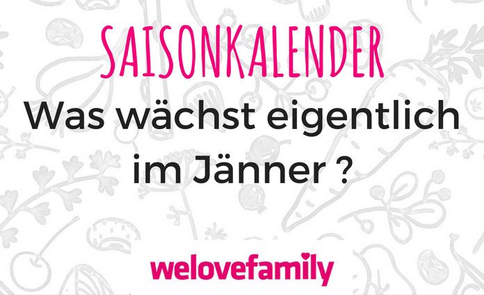 saisonkalender saisonkalender
