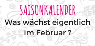 saisonkalender-februar