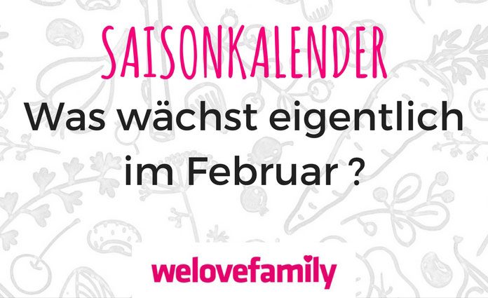 saisonkalender-februar