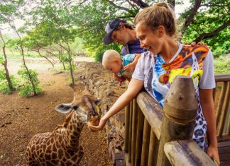 tiergarten-zoo-oesterreich