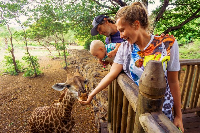 tiergarten-zoo-oesterreich