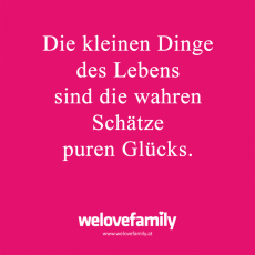 Spruch-113