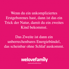 Spruch 116_LP