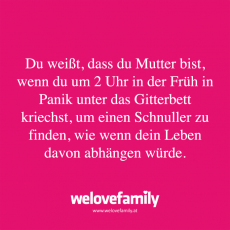 Spruch 137_LP