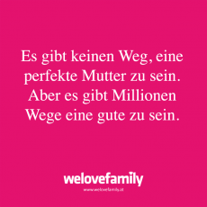 Spruch 146_LP