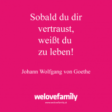 Spruch-15