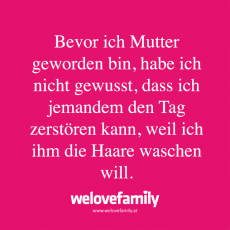 Spruch 24_LP