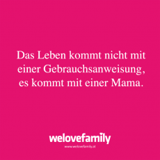 Spruch 26_LP