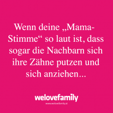 Spruch 41_LP