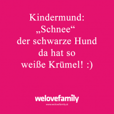 Spruch-66