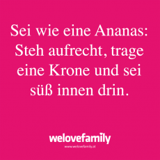 Spruch 6_LP