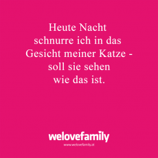 Spruch-85