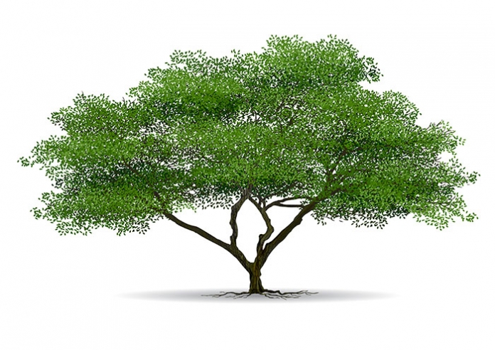GNG - 1101_shutterstock ID 474132832