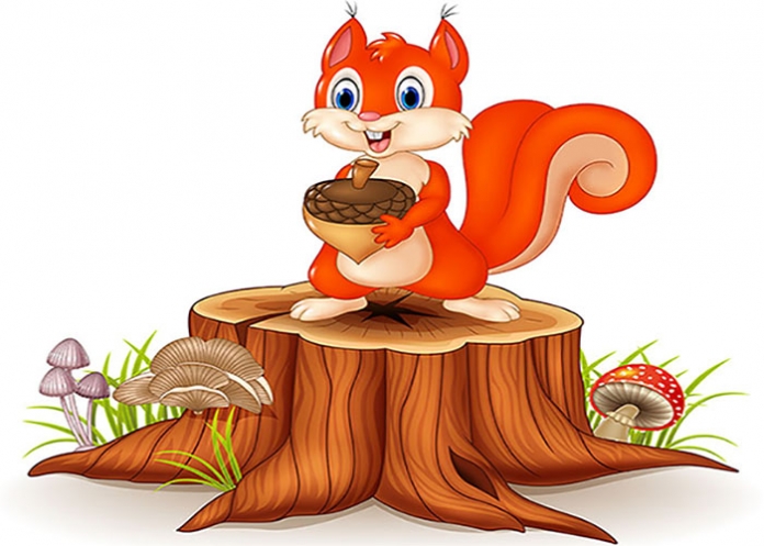 GNG - 0311_shutterstock ID 392110414