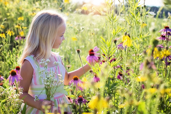 Ein kleines Mädchen steht in einer Blumenwiese