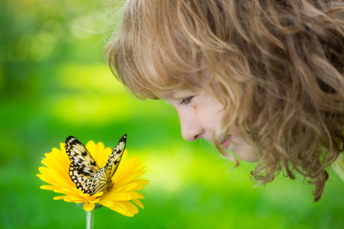 Sofie und der Schmetterling